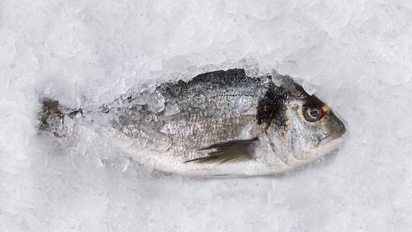 Pescado riesgo anisakis